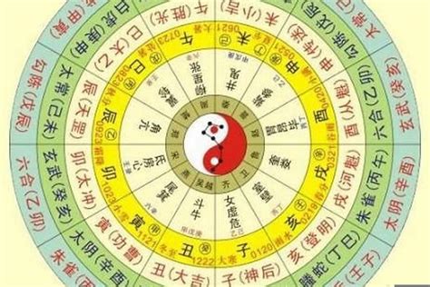 八字五行比例|五行的比例说明什么